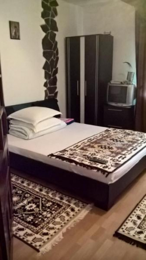  Casa Ionela Petreus  Поиниле Ицеи